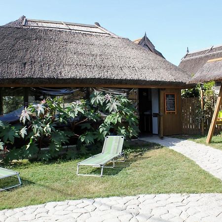 Cerdacul Cu Stuf Hotel Sfântu Gheorghe Eksteriør billede